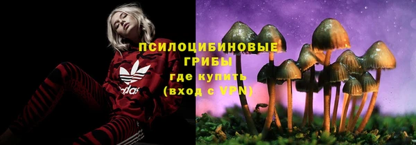 гидра Бронницы