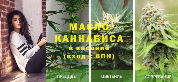 стафф Богородицк