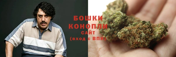 гидра Бронницы