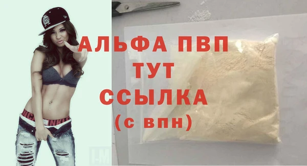 гидра Бронницы