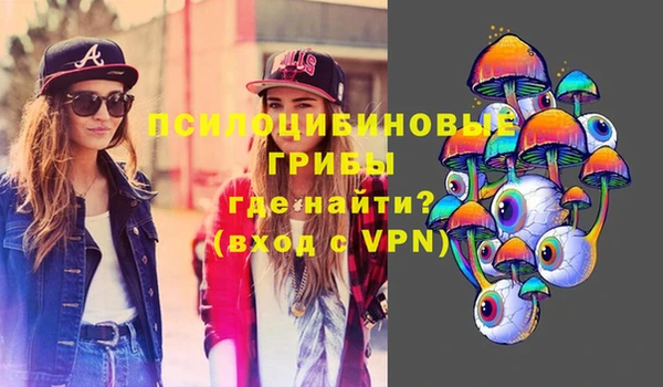 мет Бородино