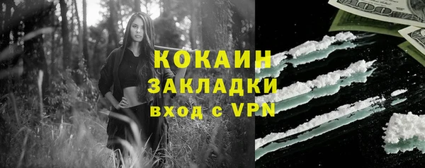 гидра Бронницы