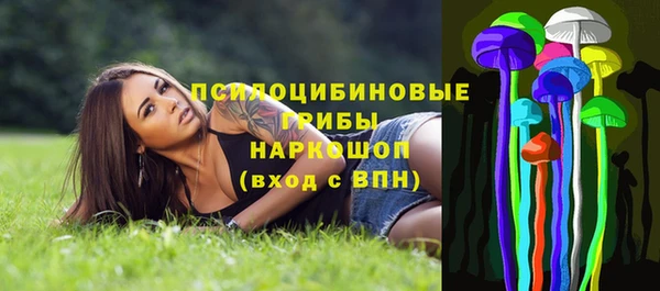 мет Бородино
