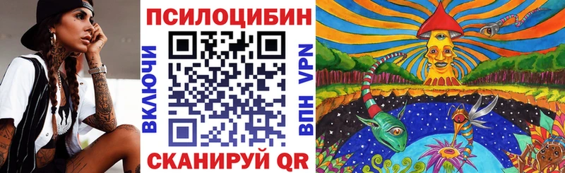 Псилоцибиновые грибы мицелий  наркотики  Новохопёрск 