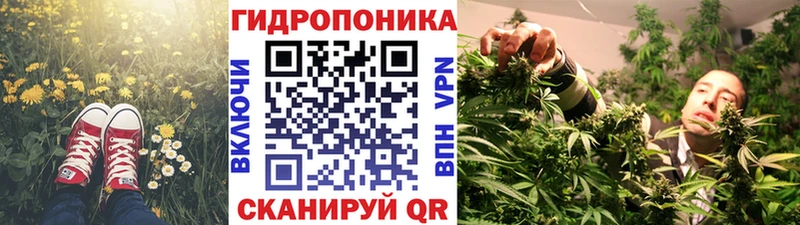 Шишки марихуана гибрид  где купить наркоту  Новохопёрск 